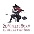 SoftwareHexe Logo