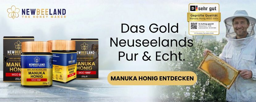 Newbeeland Angebot
