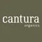 Cantura