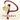 Pallhuber Logo