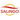 SALiNGO Logo