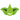 CBD's Finest Logo