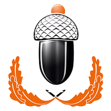 myboshi Logo