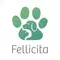 Fellicita