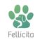 Fellicita
