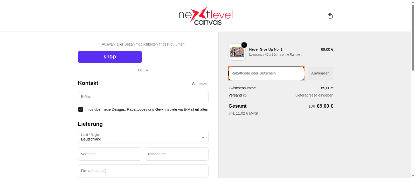 Next Level Canvas Screenshot