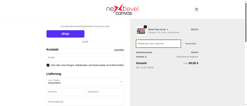 Next Level Canvas Screenshot