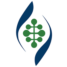 MikroVeda Logo