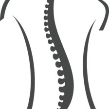 BACKLAxx International Logo