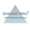 Schungit Welt