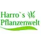 Harros Pflanzenwelt