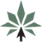 MedCanOneStop