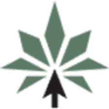 MedCanOneStop Logo