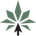 MedCanOneStop