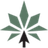 MedCanOneStop