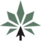 MedCanOneStop