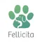Fellicita