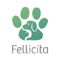 Fellicita
