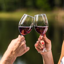 Wein & Spirituosen Icon