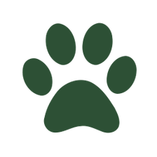 dr-wuffy Logo