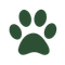 dr-wuffy