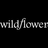 Wildflower Cases