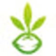 SamenDE Logo