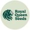 Royal Queen Seeds
