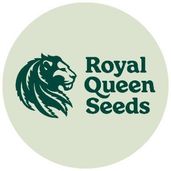 Royal Queen Seeds Logo