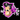 Dildodave Logo