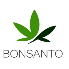 Bonsanto Logo