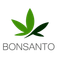 Bonsanto