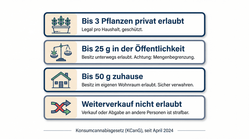 Übersicht der Cannabis-Regeln nach dem Konsumcannabisgesetz seit April 2024: bis zu 3 Pflanzen privat erlaubt, bis 25 Gramm Besitz in der Öffentlichkeit, bis 50 Gramm zuhause, Weiterverkauf strafbar