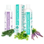 Organicum Logo