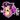 Dildodave Logo