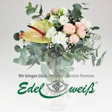 Blumenversand Edelweiss Logo