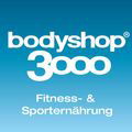 Bodyshop3000 Logo