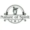 Nature of Spirit