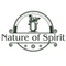 Nature of Spirit