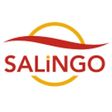 SALiNGO Logo